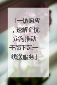 一链响应，速解企忧 定海推动干部下沉一线送服务