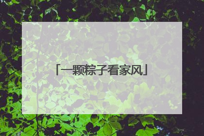 一颗粽子看家风