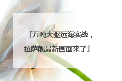 万吨大驱远海实战，拉萨舰最新画面来了