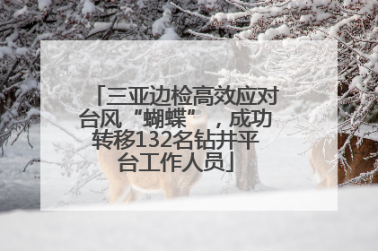 三亚边检高效应对台风“蝴蝶”，成功转移132名钻井平台工作人员
