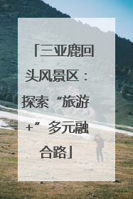 三亚鹿回头风景区：探索“旅游+”多元融合路