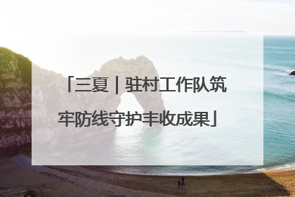 三夏｜驻村工作队筑牢防线守护丰收成果