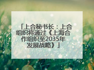 上合秘书长：上合组织将通过《上海合作组织至2035年发展战略》