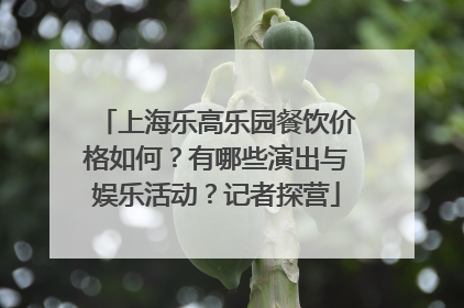 上海乐高乐园餐饮价格如何？有哪些演出与娱乐活动？记者探营