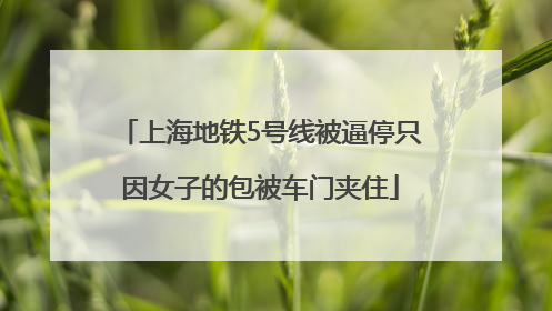 上海地铁5号线被逼停只因女子的包被车门夹住