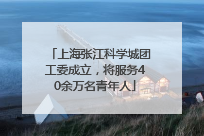上海张江科学城团工委成立，将服务40余万名青年人