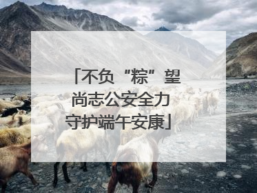 不负“粽”望 尚志公安全力守护端午安康