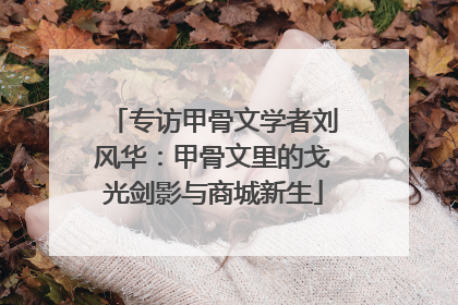 专访甲骨文学者刘风华：甲骨文里的戈光剑影与商城新生