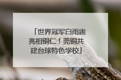 世界冠军白雨露亮相铜仁！莞铜共建台球特色学校