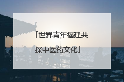 世界青年福建共探中医药文化