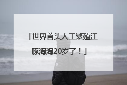 世界首头人工繁殖江豚淘淘20岁了！