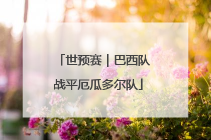 世预赛｜巴西队战平厄瓜多尔队