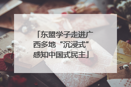 东盟学子走进广西多地“沉浸式”感知中国式民主