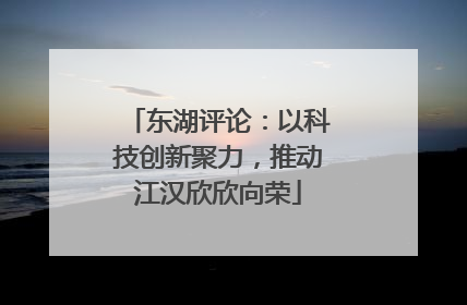 东湖评论：以科技创新聚力，推动江汉欣欣向荣