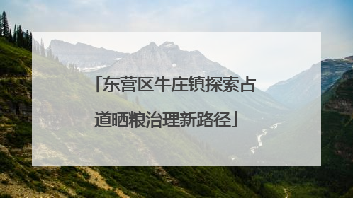 东营区牛庄镇探索占道晒粮治理新路径