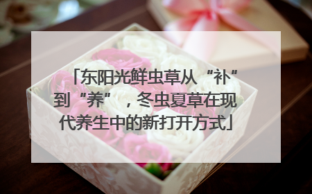 东阳光鲜虫草从“补”到“养”，冬虫夏草在现代养生中的新打开方式