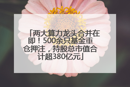 两大算力龙头合并在即！500余只基金重仓押注，持股总市值合计超380亿元