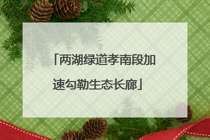 两湖绿道孝南段加速勾勒生态长廊