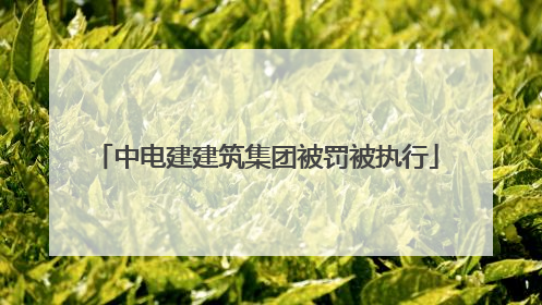 中电建建筑集团被罚被执行