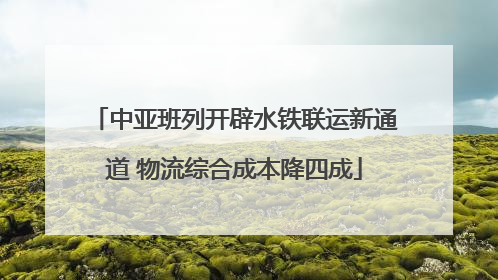 中亚班列开辟水铁联运新通道 物流综合成本降四成