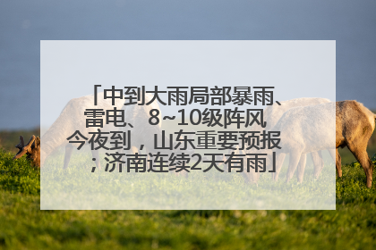中到大雨局部暴雨、雷电、8~10级阵风今夜到，山东重要预报；济南连续2天有雨