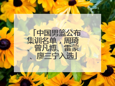 中国男篮公布集训名单，周琦、曾凡博、雷蒙、廖三宁入选