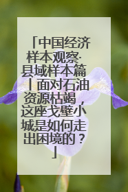 中国经济样本观察·县域样本篇丨面对石油资源枯竭，这座戈壁小城是如何走出困境的？