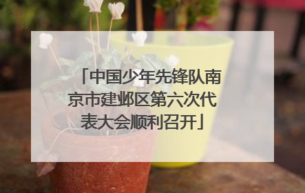 中国少年先锋队南京市建邺区第六次代表大会顺利召开
