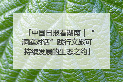 中国日报看湖南｜“洞庭对话”践行文旅可持续发展的生态之约