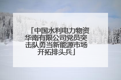 中国水利电力物资华南有限公司党员突击队勇当新能源市场开拓排头兵