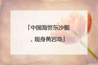 中国海警东沙舰，现身黄岩岛