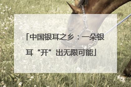 中国银耳之乡：一朵银耳“开”出无限可能