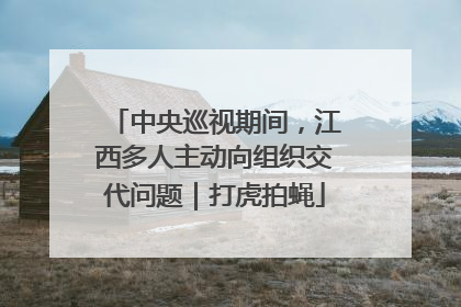 中央巡视期间，江西多人主动向组织交代问题｜打虎拍蝇