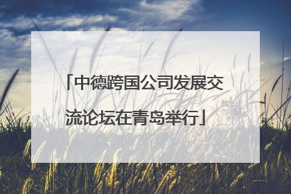 中德跨国公司发展交流论坛在青岛举行