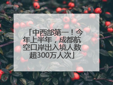 中西部第一！今年上半年，成都航空口岸出入境人数超300万人次