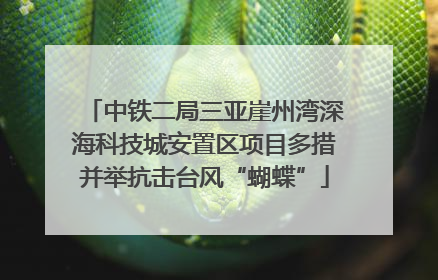 中铁二局三亚崖州湾深海科技城安置区项目多措并举抗击台风“蝴蝶”