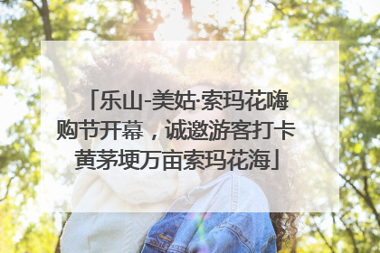 乐山-美姑·索玛花嗨购节开幕，诚邀游客打卡黄茅埂万亩索玛花海