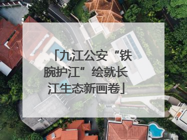 九江公安“铁腕护江”绘就长江生态新画卷