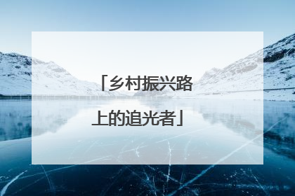 乡村振兴路上的追光者