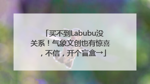 买不到Labubu没关系！气象文创也有惊喜，不信，开个盲盒→