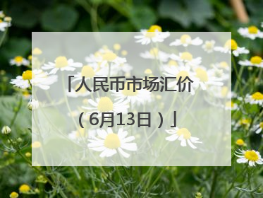 人民币市场汇价（6月13日）