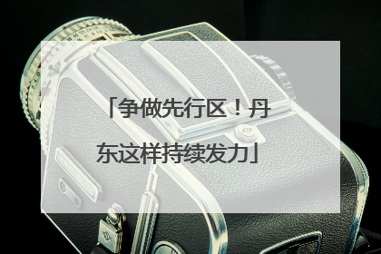 争做先行区！丹东这样持续发力