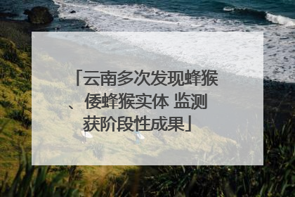 云南多次发现蜂猴、倭蜂猴实体 监测获阶段性成果