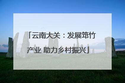 云南大关：发展筇竹产业 助力乡村振兴
