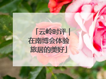 云岭时评｜在南博会体验旅居的美好