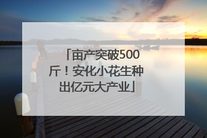 亩产突破500斤！安化小花生种出亿元大产业