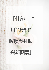 什邡：“川芎密码”解锁乡村振兴新图景