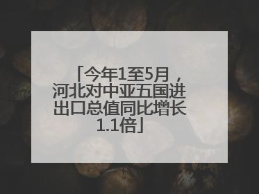 今年1至5月，河北对中亚五国进出口总值同比增长1.1倍