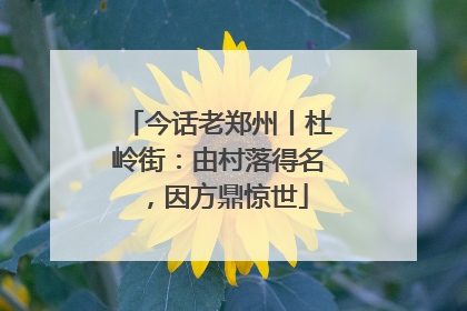 今话老郑州丨杜岭街：由村落得名，因方鼎惊世