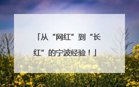 从“网红”到“长红”的宁波经验！